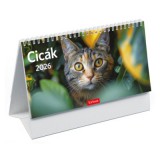 Cicák - asztali naptár 24x12,8 cm - 2026