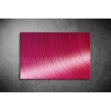 Ciklámen Vászonkép 026 eh-026