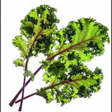 Click and Grow fodros kel (SGR47X9)