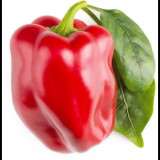 Click and Grow piros paprika, édes (SGR63X3)