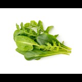 Click and Grow saláta mix növénykapszula 9db (PPMSAX9) (PPMSAX9)