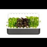 Click and Grow Smart Garden 9 - Sötétszürke (Paradicsom,Saláta,Bazsalikom) (4742793008899)