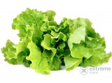 ClicknGrow SGR32X3 Zöld saláta növénykapszula 3 db