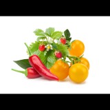 ClicknGrow Zöldség-gyümölcs Mix növénykapszula 9 db (PPMFVX9)