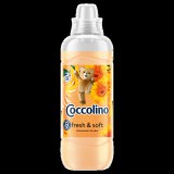 Coccolino Choccolino öblítő koncentrátum 975ml Orange Rush