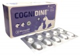 Cognidine tabletta kutyák és macskák részére 60 db