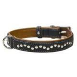 CoLLaR Bőr nyakörv lapos szegecs díszítéssel - 38 - 49cm, 25mm -fekete