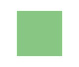 COLORAMA 1.35x11m Summer Green _59