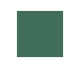 COLORAMA 2.72x11m Spruce Green