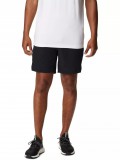 Columbia Alpine Chill Zero Short