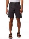 Columbia Brentyn Trail Cargo Short
