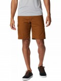 Columbia Brentyn Trail Cargo Short