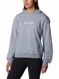 Columbia Columbia Logo III French Terry Hoodie