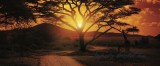Consalnet Afrika poszter, fotótapéta 055VEP /250x104 cm/