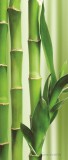 Consalnet Bamboo öntapadós poszter, fotótapéta 2-180SKT /0,91x211 cm/