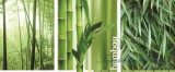 Consalnet Bamboo poszter, fotótapéta (250 x 104 cm)