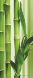 Consalnet Bamboo poszter, fotótapéta (91 x 211 cm)