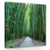 Consalnet Bambusz erdő, vászonkép, 80x80 cm méretben