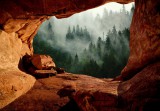 Consalnet Barlang és ködös erdő poszter, fotótapéta Vlies (312 x 219 cm)