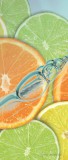 Consalnet Citrus öntapadós poszter, fotótapéta 110SKT /91x211 cm/