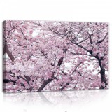 Consalnet Cseresznyefa, vászonkép, 60x40 cm méretben