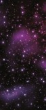 Consalnet Csillagok vlies poszter, fotótapéta 177VET /91x211 cm/