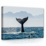 Consalnet Delfin ugrás közben, vászonkép, 70x50 cm méretben