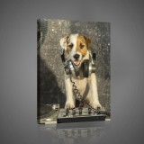 Consalnet Dj kutya, vászonkép, 40x60 cm méretben