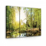 Consalnet Erdei patak, 3 darabos vászonkép, 90x80 cm méretben