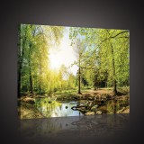 Consalnet Erdei patak, vászonkép, 60x40 cm méretben