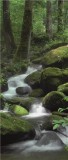 Consalnet Erdei Patak vlies poszter, fotótapéta 163VET /91x211 cm/