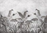 Consalnet Fekete-fehér trópusi levelek beton háttérel poszter, fotótapéta (256 x 184 cm)