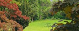 Consalnet Garden poszter, fotótapéta (250 x 104 cm)