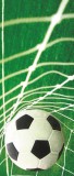 Consalnet Gól vlies poszter, fotótapéta 015VET /91x211 cm/