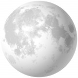 Consalnet Hold vlies poszter, fotótapéta 10469VEZ1 /208x208 cm/