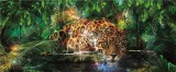Consalnet Jaguár poszter, fotótapéta 1333VEP /250x104 cm/