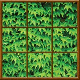 Consalnet Kazettás virágos vlies poszter, fotótapéta (208 X 208 cm)