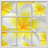 Consalnet Kazettás virágos vlies poszter, fotótapéta (312 X 312 cm)