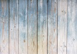 Consalnet Kék fapalánk poszter, fotótapéta, Vlies (104 x 70,5 cm)