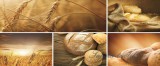 Consalnet Kenyér minta vlies poszter, fotótapéta 103VEP /250x104 cm/