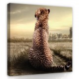 Consalnet Kölyök leopárd, vászonkép, 80x80 cm méretben