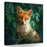 Consalnet Kölyök róka, vászonkép, 80x80 cm méretben