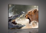 Consalnet Krokodil és oroszlán, vászonkép, 60x40 cm méretben