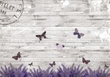 Consalnet Lepkék a falon poszter, fotótapéta Vlies (312 x 219 cm)