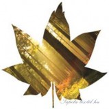 Consalnet Levél formájú vlies poszter, fotótapéta 895VEZ6 /208x208 cm/