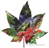 Consalnet Levél formájú vlies poszter, fotótapéta 906VEZ6 /208x208 cm/