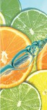 Consalnet Lime öntapadós poszter, fotótapéta 2118SKT /91x211 cm/