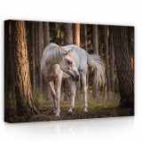 Consalnet Ló az erdőben, vászonkép, 70x50 cm méretben