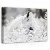 Consalnet Ló, vászonkép, 70x50 cm méretben