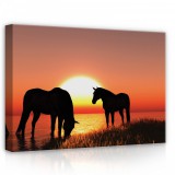 Consalnet Lovak, vászonkép, 70x50 cm méretben